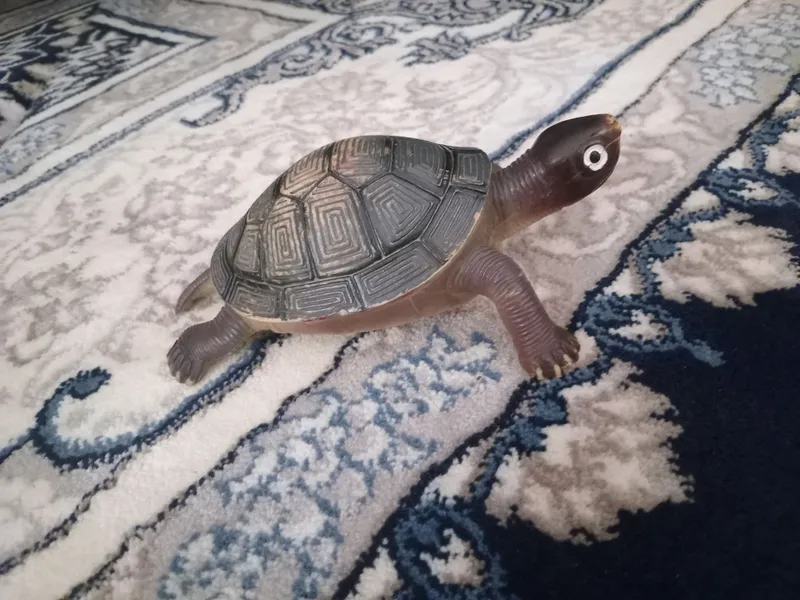 O'yinchoq