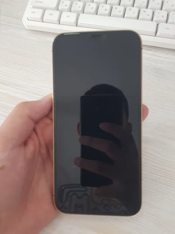 iPhone 12 pro max LLA 1
