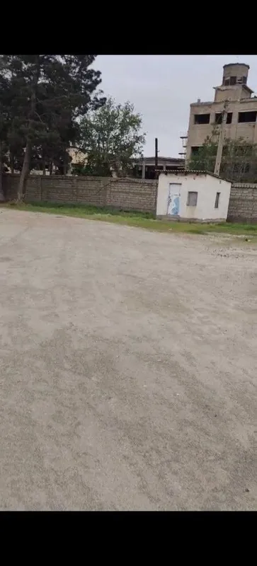 yer maydoni 1 gektar jarqo'rg'on 1 yer maydoni 1 gektar jarqo'rg'on 1