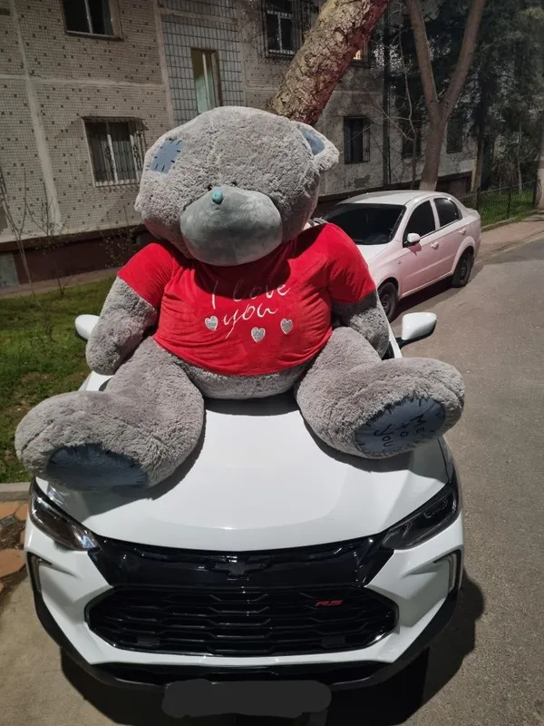 Teddi ayiqgi sotiladi 1