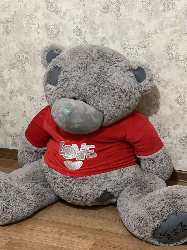 Teddy kotta yangiday 3