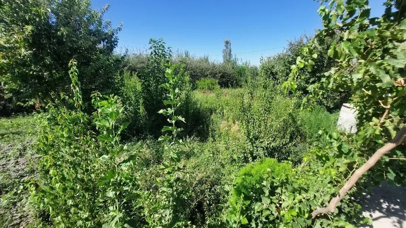 25 sotixli HOVLI 8 25 sotixli HOVLI 8