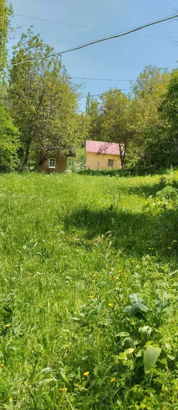 Бўстонлиқ тумани Амирсойда уй сотилади 2 Бўстонлиқ тумани Амирсойда уй сотилади 2