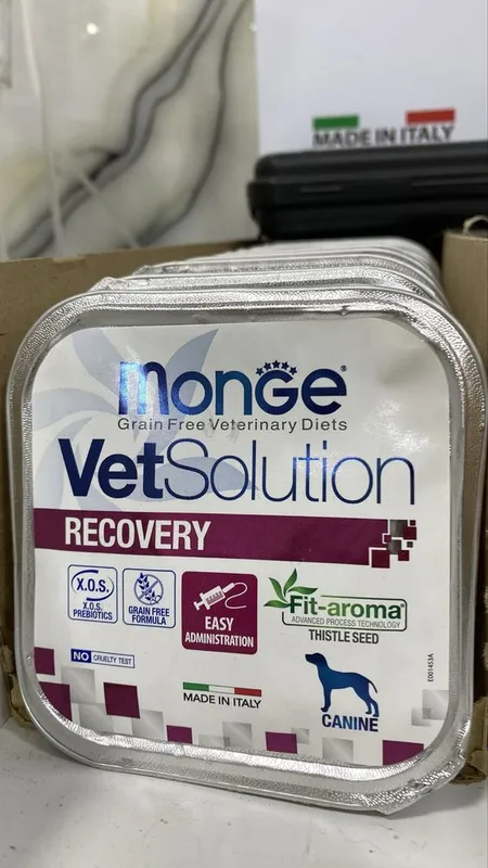 Veterinariya xizmati – It va mushuklar uchun tezkor yordam! 7