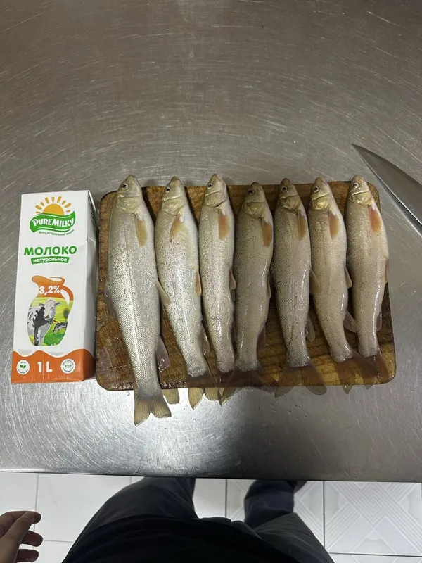 Marinka baliq sotiladi, yovoiy svejiy. Продаю маринок, дикие свежие 8 Marinka baliq sotiladi, yovoiy svejiy. Продаю маринок, дикие свежие 8
