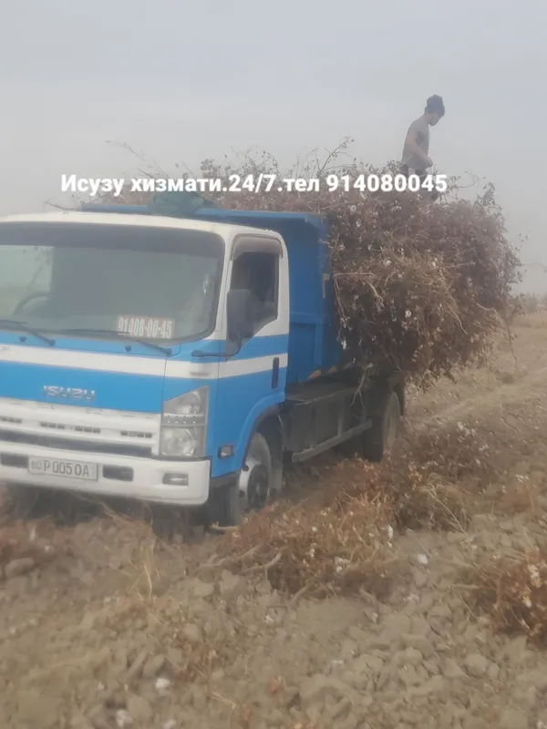 Исузу хизмати.24/7