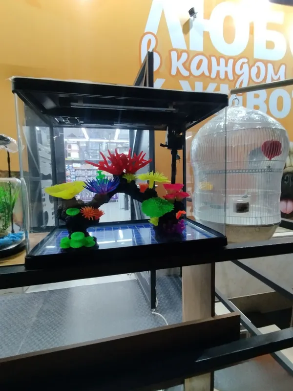 Happyhome xitoy akvarium. 6 Happyhome xitoy akvarium. 6