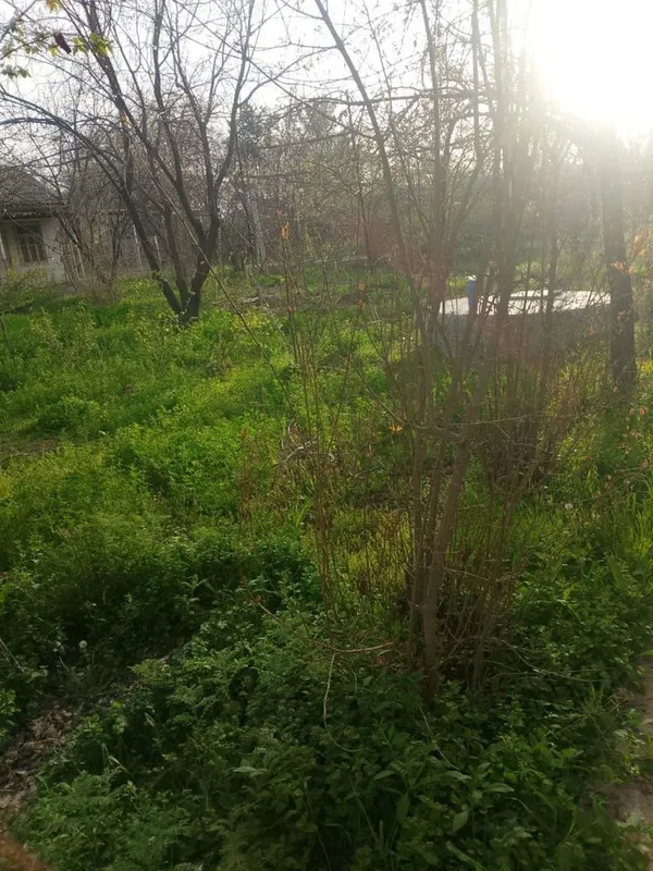 Dacha sotiladi qiziqgan kelib kurishi mumkin 7 Dacha sotiladi qiziqgan kelib kurishi mumkin 7