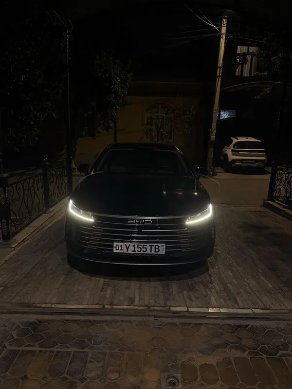Byd chazor 55 2024 Аренда 4