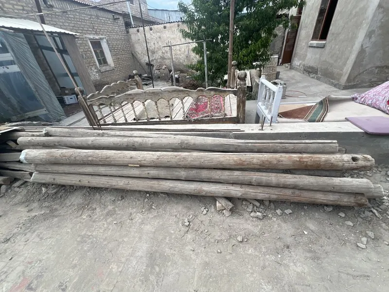 11та Bolor va cho’plari bilan