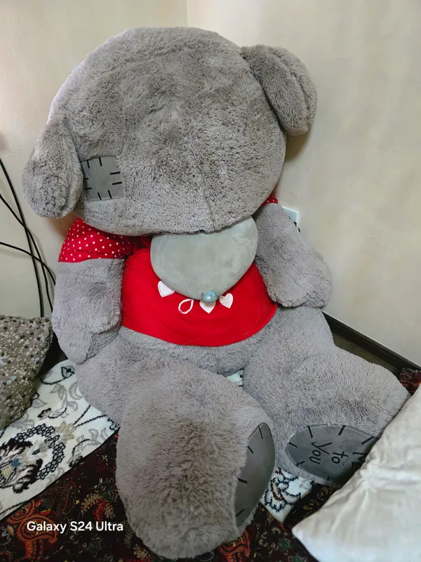teddy ayiq
