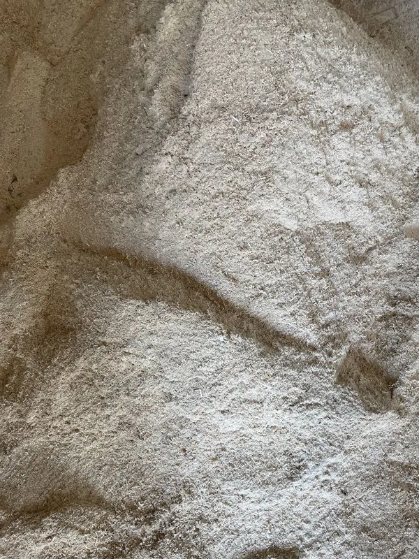 Apilka bor mayda