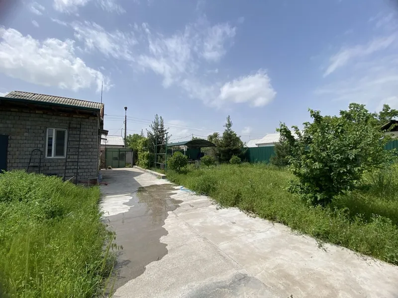 Дача Нурафшон Ташморе оркаси тойтепадан утганда — фото 2