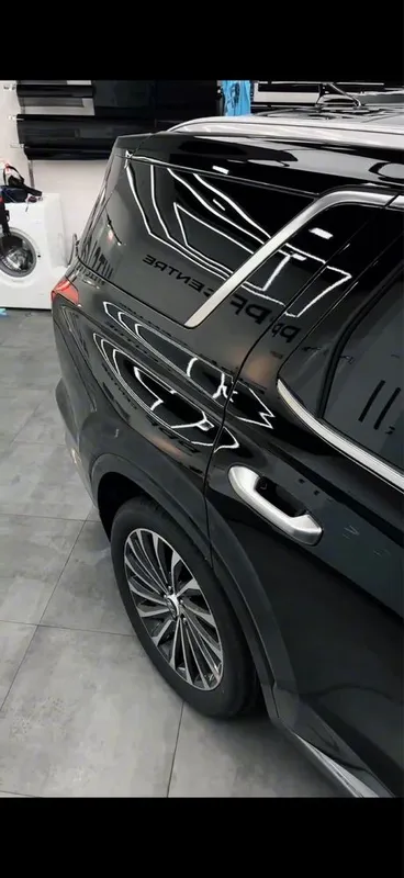 Hyundai Palisade calligraphy — фото 4