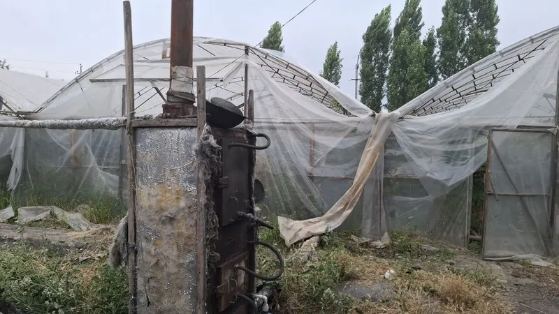 Parnik sotiladi hamma narsasi bor 1