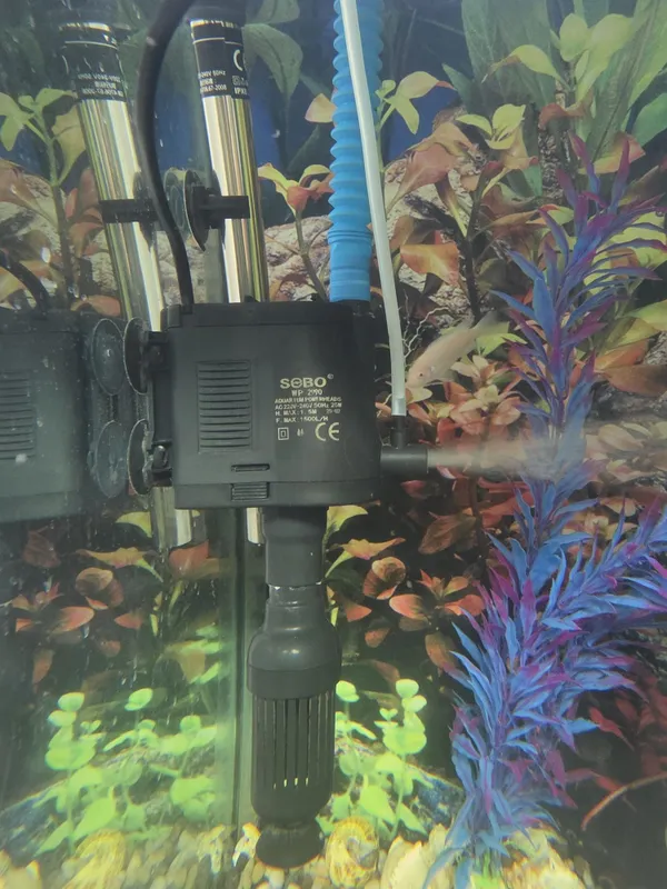 Yangi Akvarium sotiladi ! 4 Yangi Akvarium sotiladi ! 4