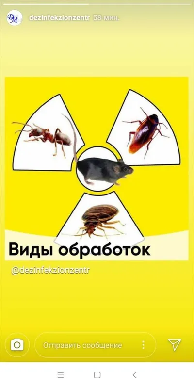 Дезинфекция таракан,клапа, пашша ,чаён — фото 1 Дезинфекция таракан,клапа, пашша ,чаён — фото 1