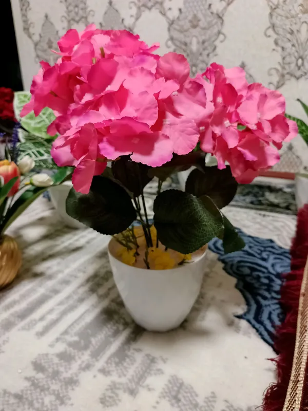 Beauty_Flower 2
