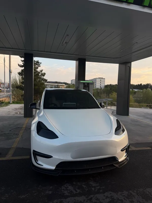 Tesla model Y Dual Longe Range — фото 1