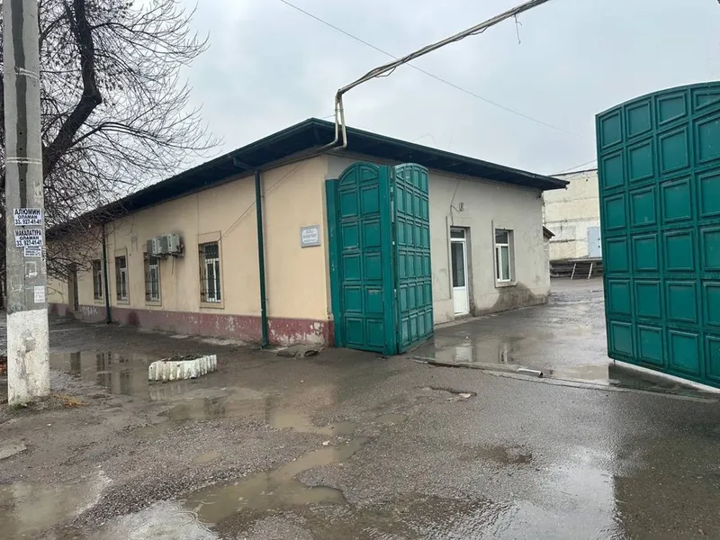 Жомеда 155 сотихли база сотилади.
