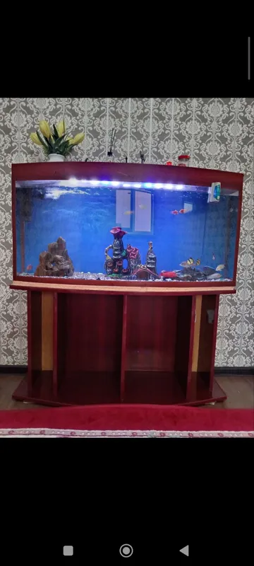 Продаётся аквариум новый 170 $ 2 Продаётся аквариум новый 170 $ 2