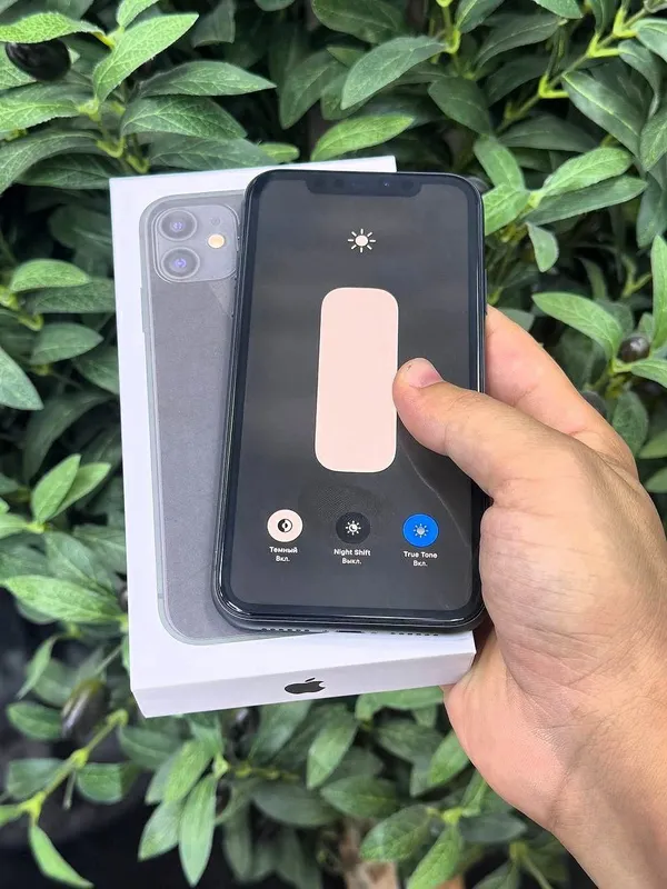 iPhone 11 2 iPhone 11 2