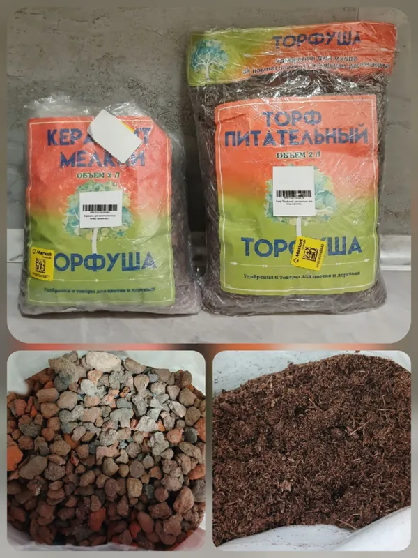 ТОЛЬКО ДО 7 ИЮНЯ! Отдаю всё для сада и огорода — фото 3