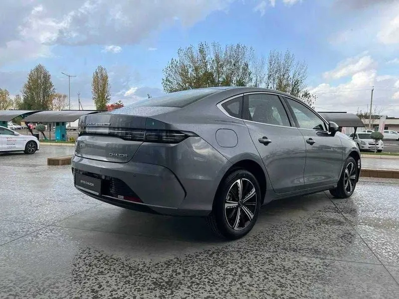 byd chazor active — фото 1