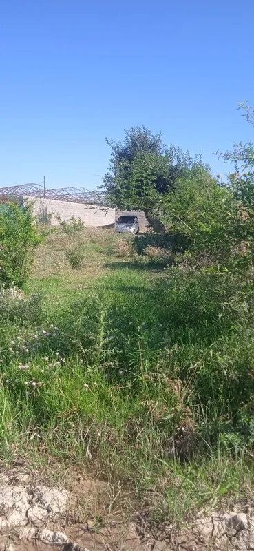 Республика Узбекистан, Кашкадарьинская область 1
