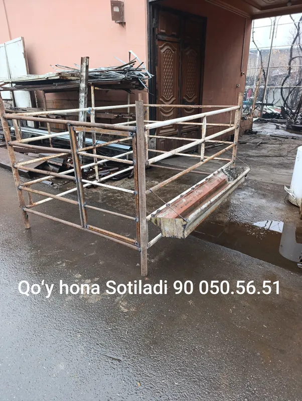 Qoy katak tovuq kattalar sotiladi — фото 1