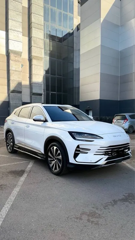 Byd champion 2024 gibrid 110 tali — фото 1