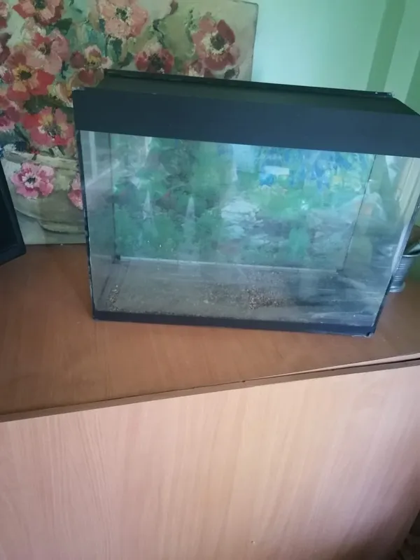 Akvarium 60*45*25 2 Akvarium 60*45*25 2