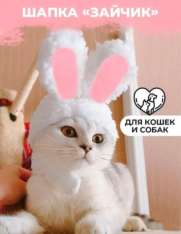 Прикольный костюм для кошек и собак (для фотосессии и праздника) — фото 5