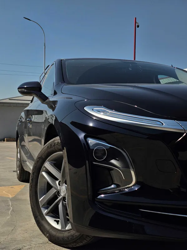 Сухой Аренда Hongqi EQM5 2 Сухой Аренда Hongqi EQM5 2