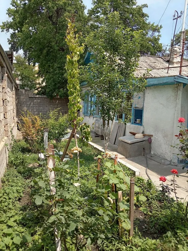 В Старом Сергели продаётся двор (частный дом) 2 В Старом Сергели продаётся двор (частный дом) 2
