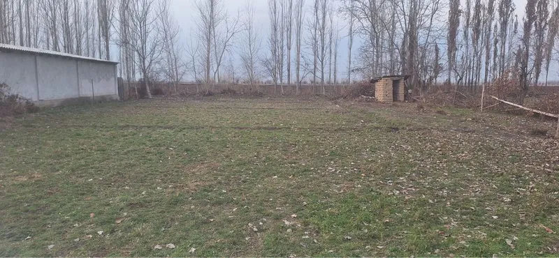 Yangi Toshkent yer sotiladi 5 sotik suv gaz svet wf xammasi bor — фото 3