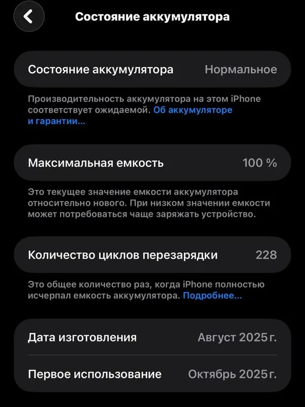 Iphone 17 Pro Max Blue 256 GB 100% yomkost — фото 5