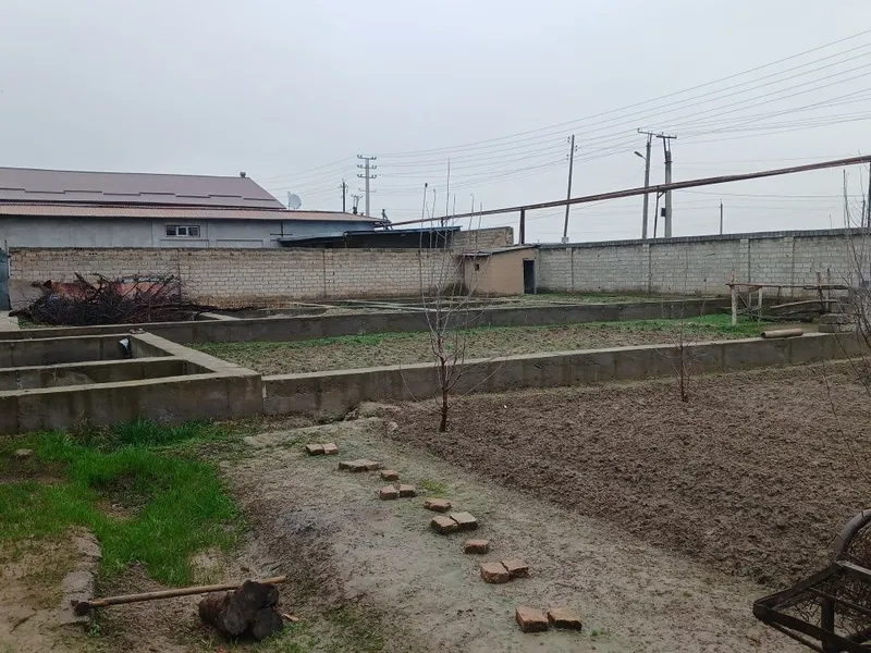 Toshkent shaxar yashnabod 5.2 Toshkent shaxar yashnabod 5.2
