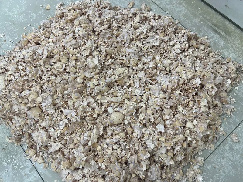 Продаётся измельчённая яичная скорлупа, богатая кальцием 2 Продаётся измельчённая яичная скорлупа, богатая кальцием 2