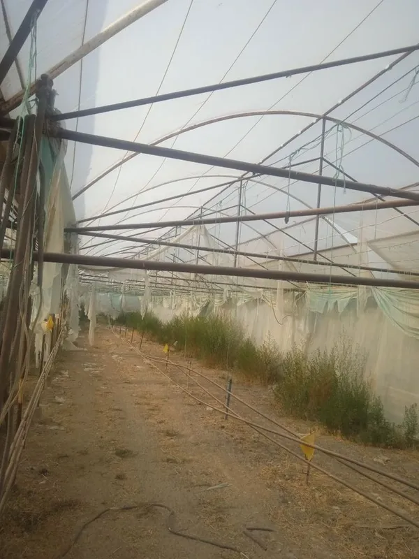 Продаётся теплица, парник. 2