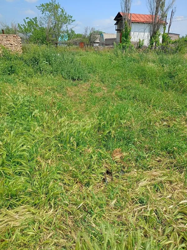 Пискент туман Акмал Икромовскийда 6сотих курук ер сотилади 6000 $ — фото 1