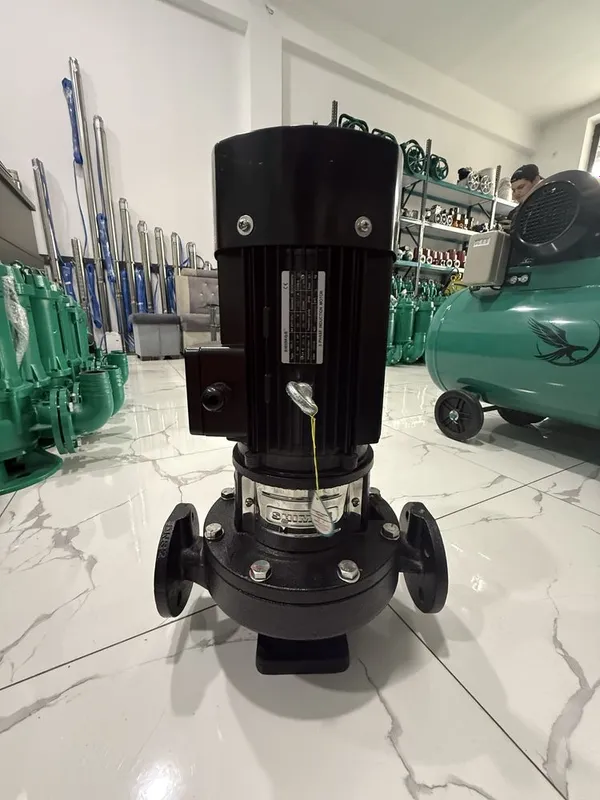 Циркуляционный насос для отопления горячей воды гвс Shimge TB50-12/2