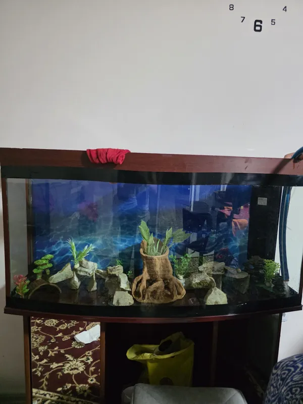Akvarium sotiladi 250 litr ideal — фото 1