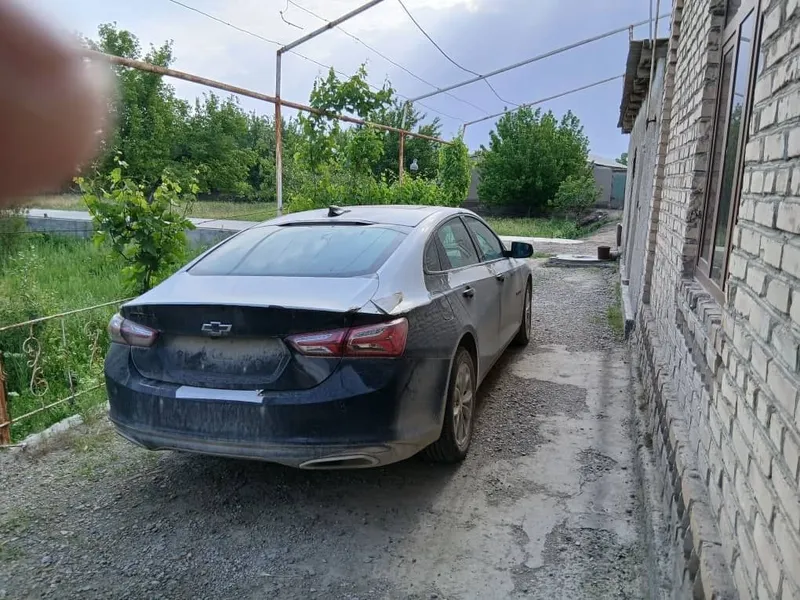 Малибо хл шот спафка — фото 3