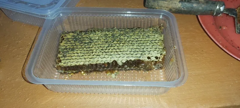 Tabiiy o‘zbek tog‘ asali (yangi hosil) 3