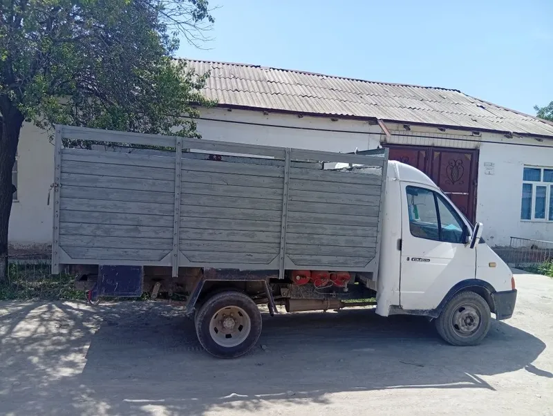 Газел зур холатда — фото 1