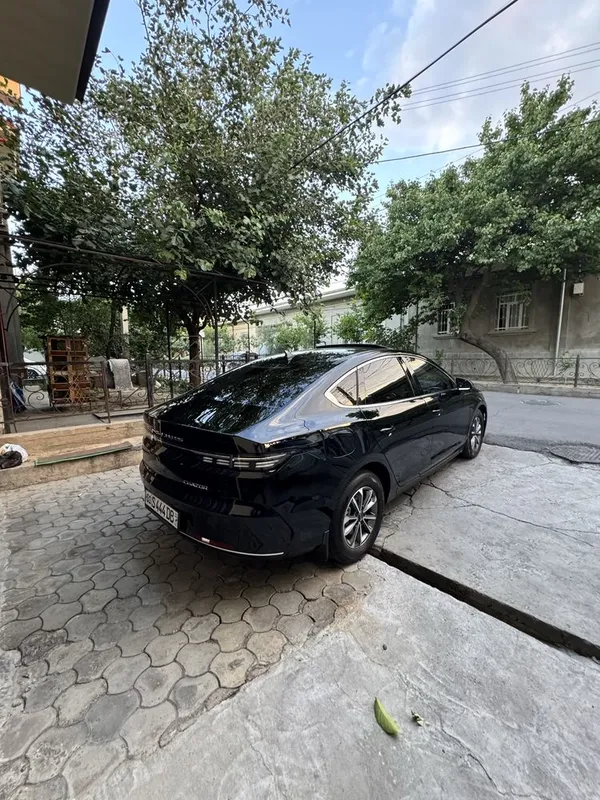 Byd chazor 55 taliy kraska tozza 2 Byd chazor 55 taliy kraska tozza 2