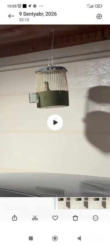 4 ta italya bedana 3 4 ta italya bedana 3