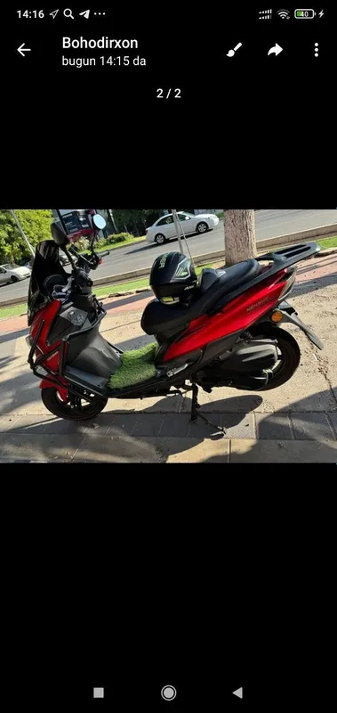 Sukut tayger 150 kb xolat yaxshi 1 Sukut tayger 150 kb xolat yaxshi 1