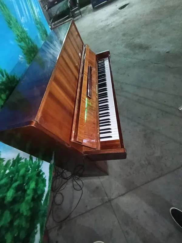 Peanena Belarus yangi 1